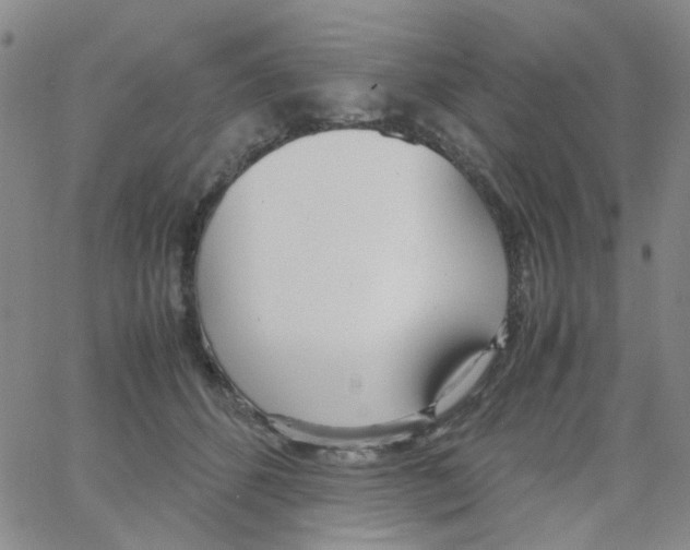 X0000062920512200602101900