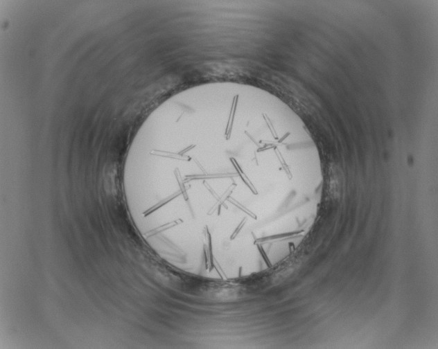 X0000062920514200602101900