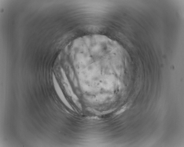 X0000062920528200602101900