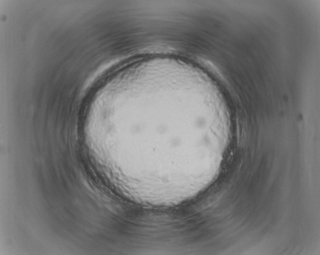 X0000062920531200602101859