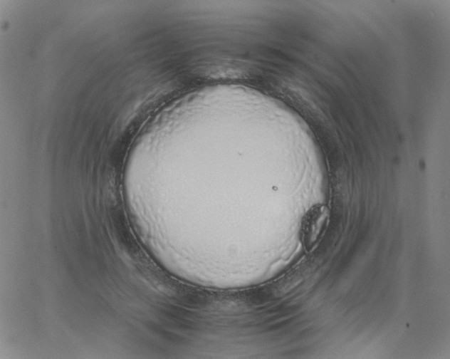 X0000062920547200602101859