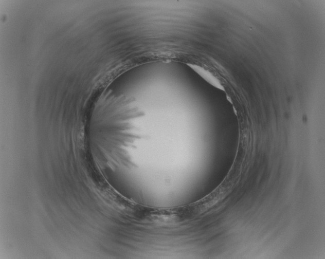 X0000062920552200602101859