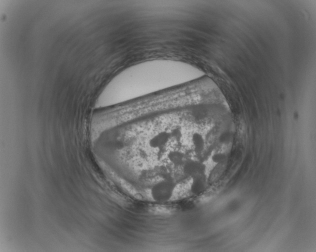 X0000062920565200602101900