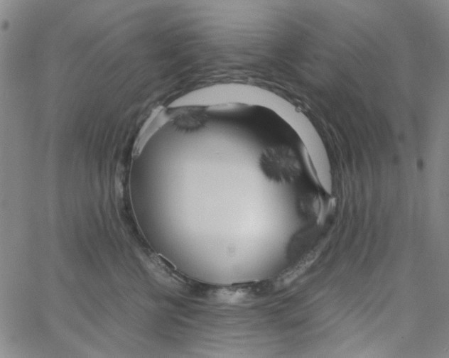 X0000062920570200602101900