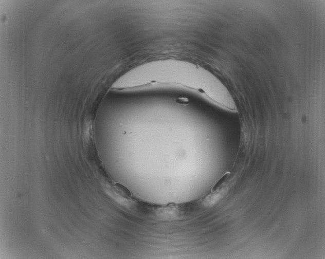 X0000062920574200602101900