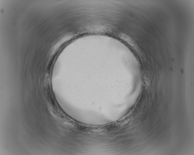 X0000062920583200602101859