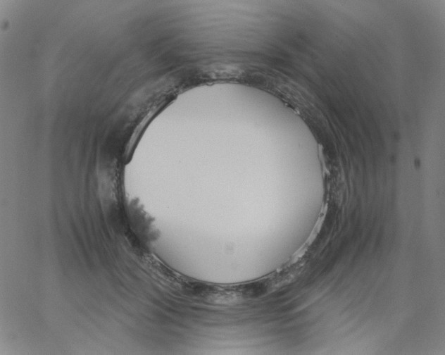 X0000062920604200602101859