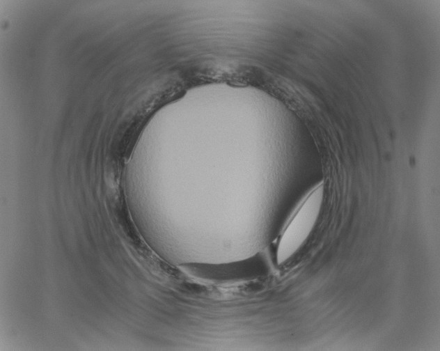 X0000062920607200602101859
