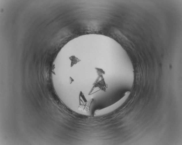 X0000062920608200602101859