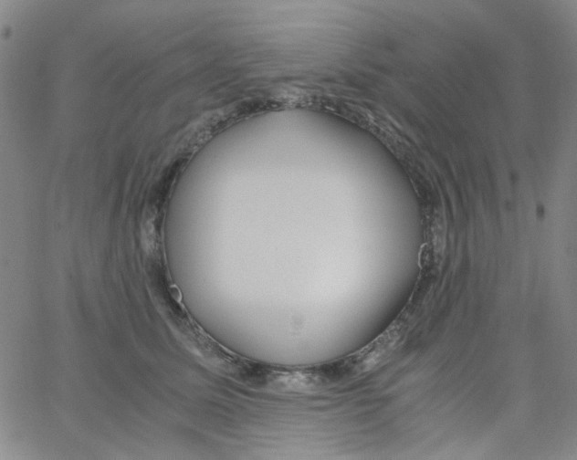 X0000062920611200602101858