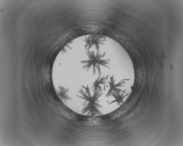 X0000062920612200602101858