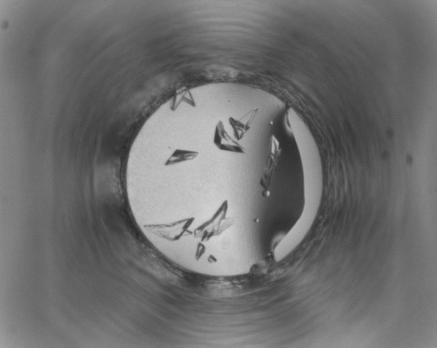 X0000062920616200602101858