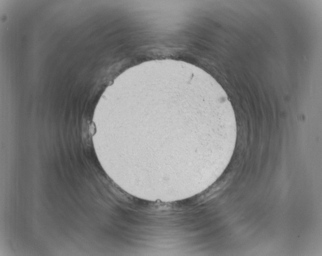 X0000062920624200602101858