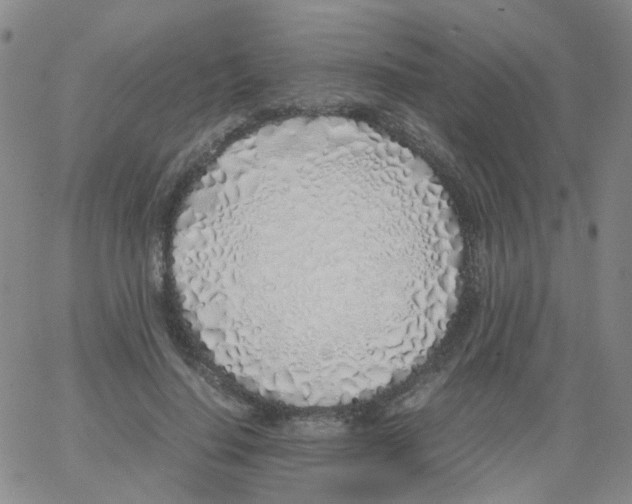X0000062920644200602101858