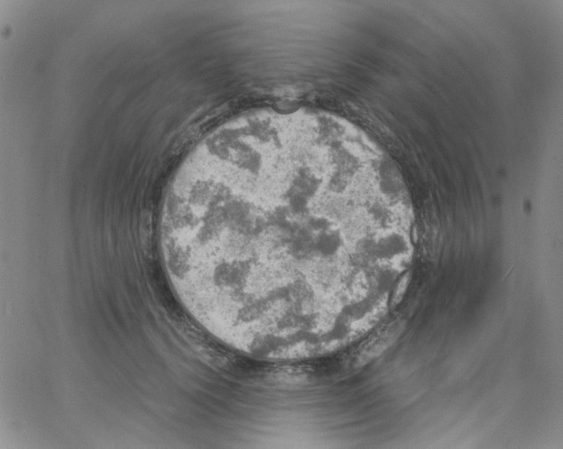 X0000062920656200602101858