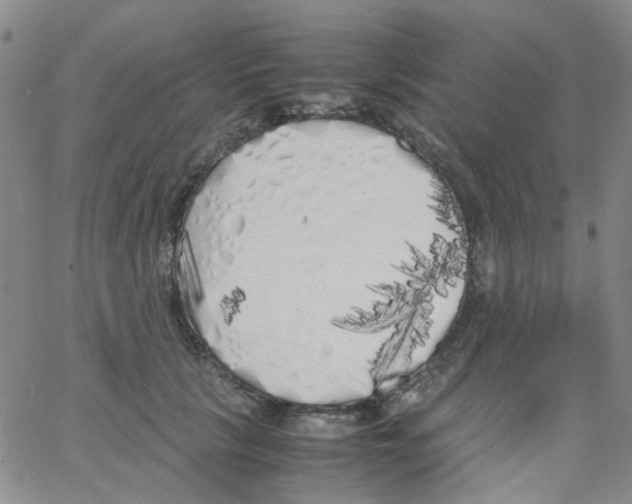 X0000062920657200602101858