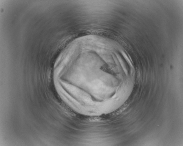X0000062920668200602101858