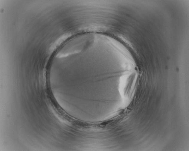 X0000062920678200602101857