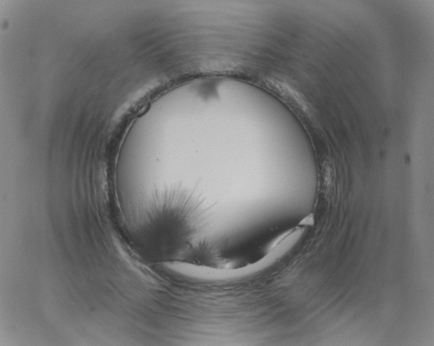 X0000062920684200602101857