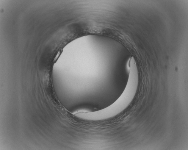 X0000062920697200602101857