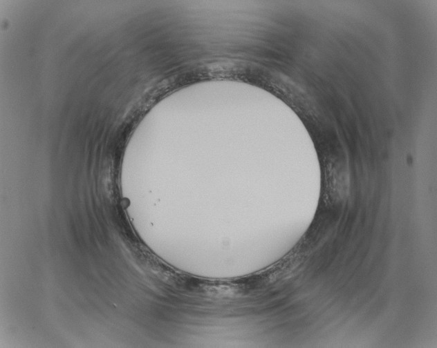 X0000062920698200602101857