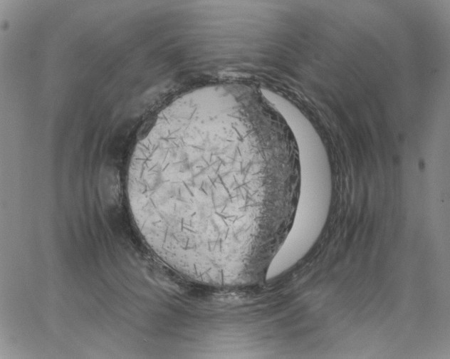 X0000062920704200602101857