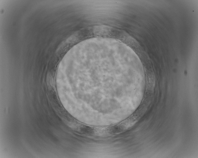 X0000062920705200602101857