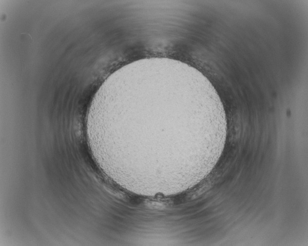X0000062920706200602101857