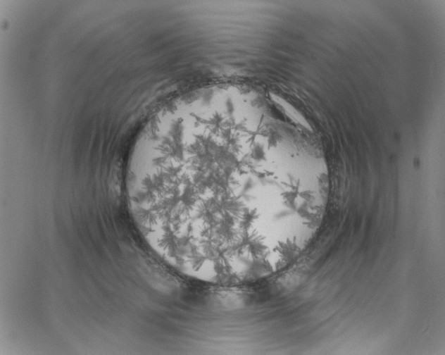 X0000062920710200602101857