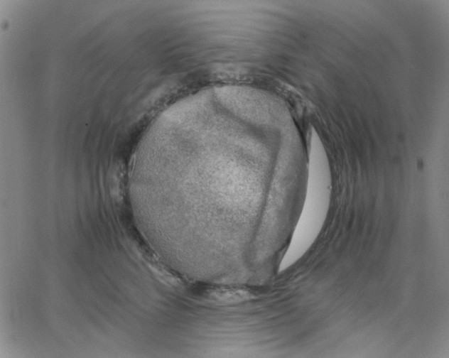X0000062920712200602101857
