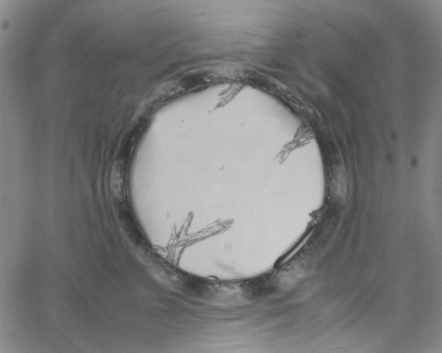 X0000062920715200602101857