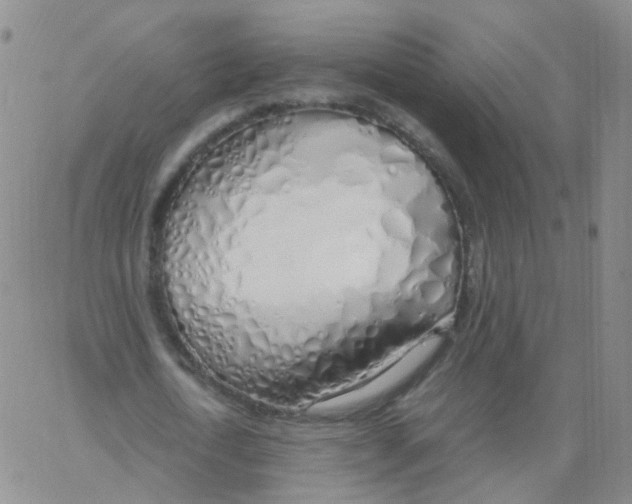 X0000062920722200602101856
