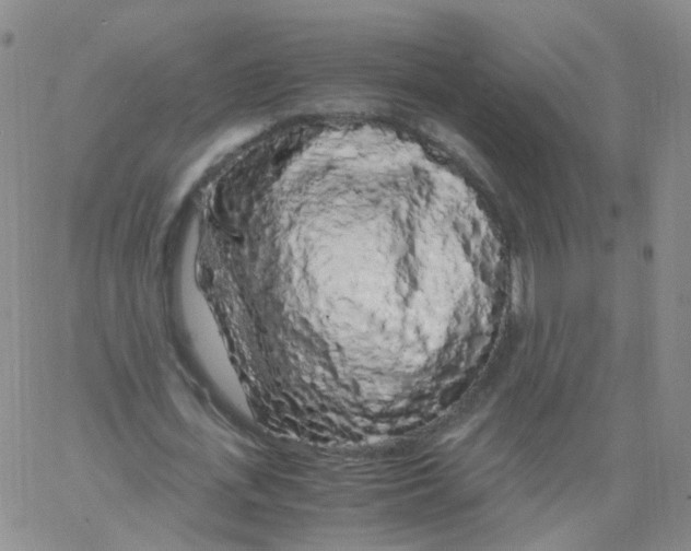 X0000062920723200602101856