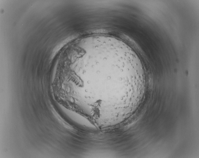 X0000062920725200602101856