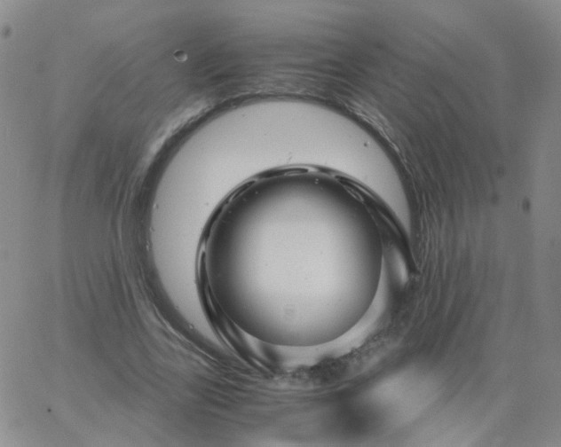 X0000062920731200602101856