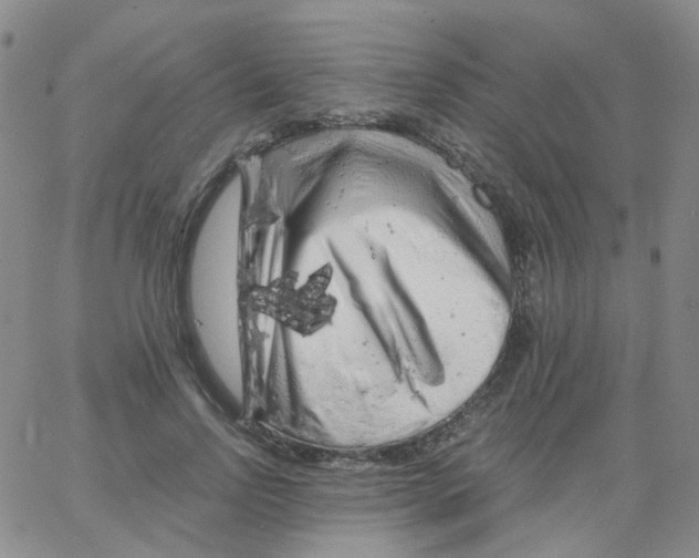 X0000062920742200602101856