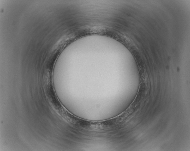X0000062920744200602101856