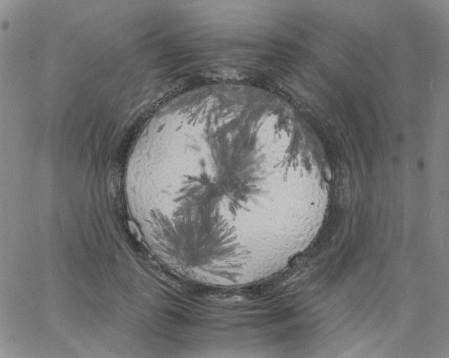 X0000062920747200602101856