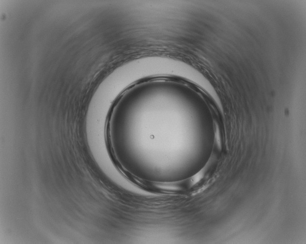 X0000062920750200602101856