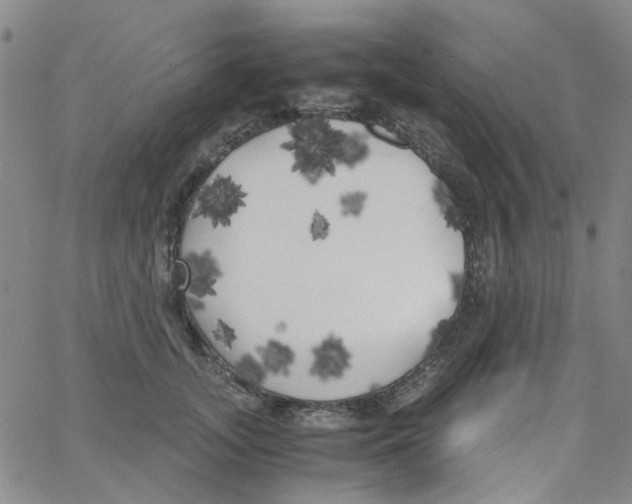 X0000062920755200602101856