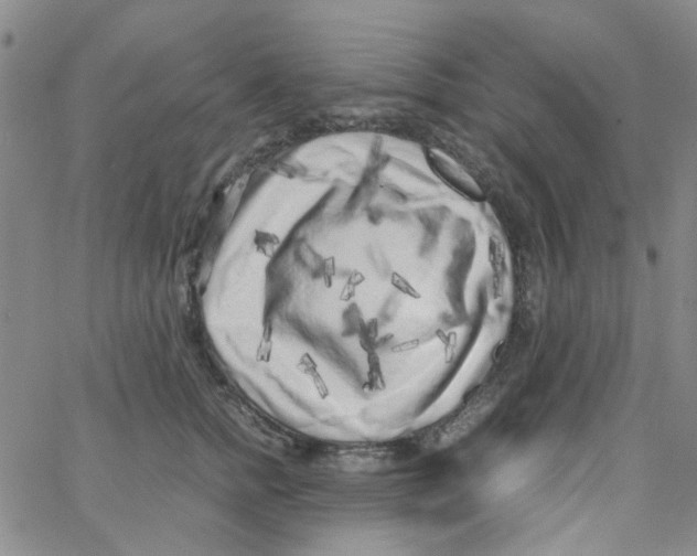 X0000062920758200602101857