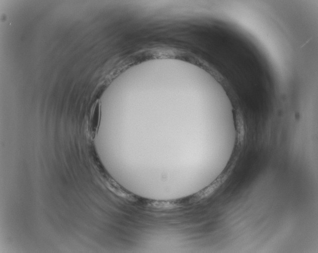 X0000062920766200602101857