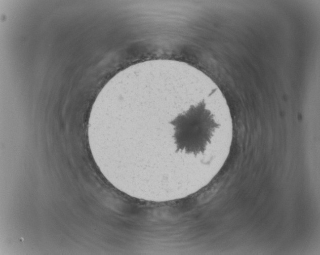 X0000062920769200602101856