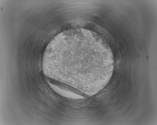 X0000062920772200602101856