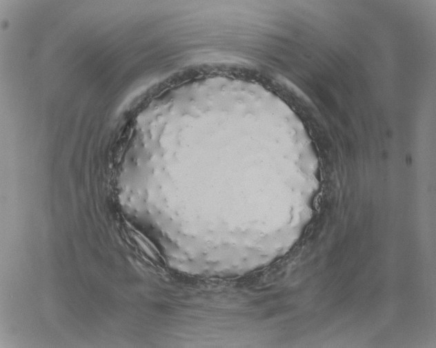 X0000062920775200602101856