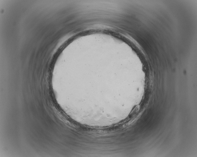 X0000062920783200602101856