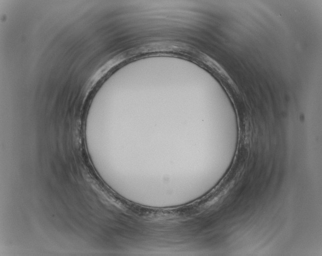 X0000062920786200602101856