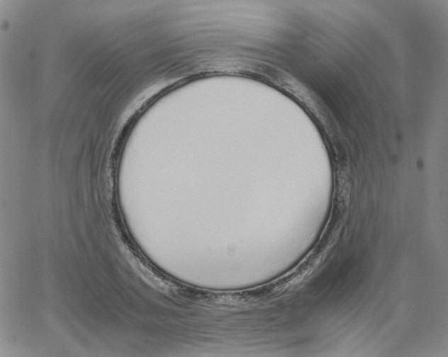 X0000062920787200602101856