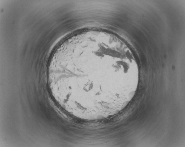 X0000062920791200602101856