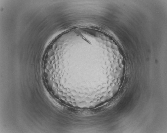 X0000062920795200602101856